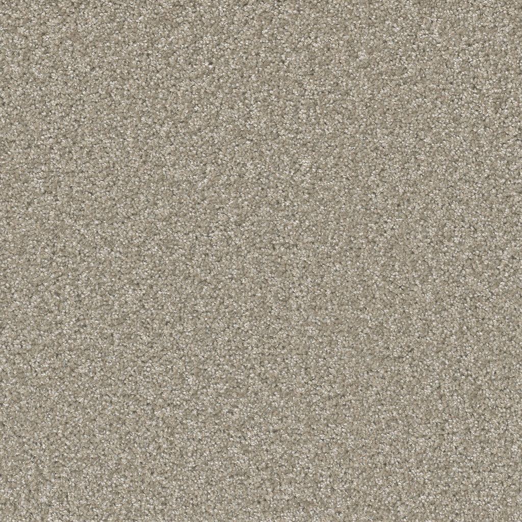 SP251 - Clam Shell