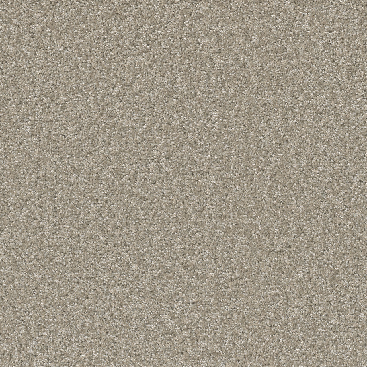 SP251 - Clam Shell
