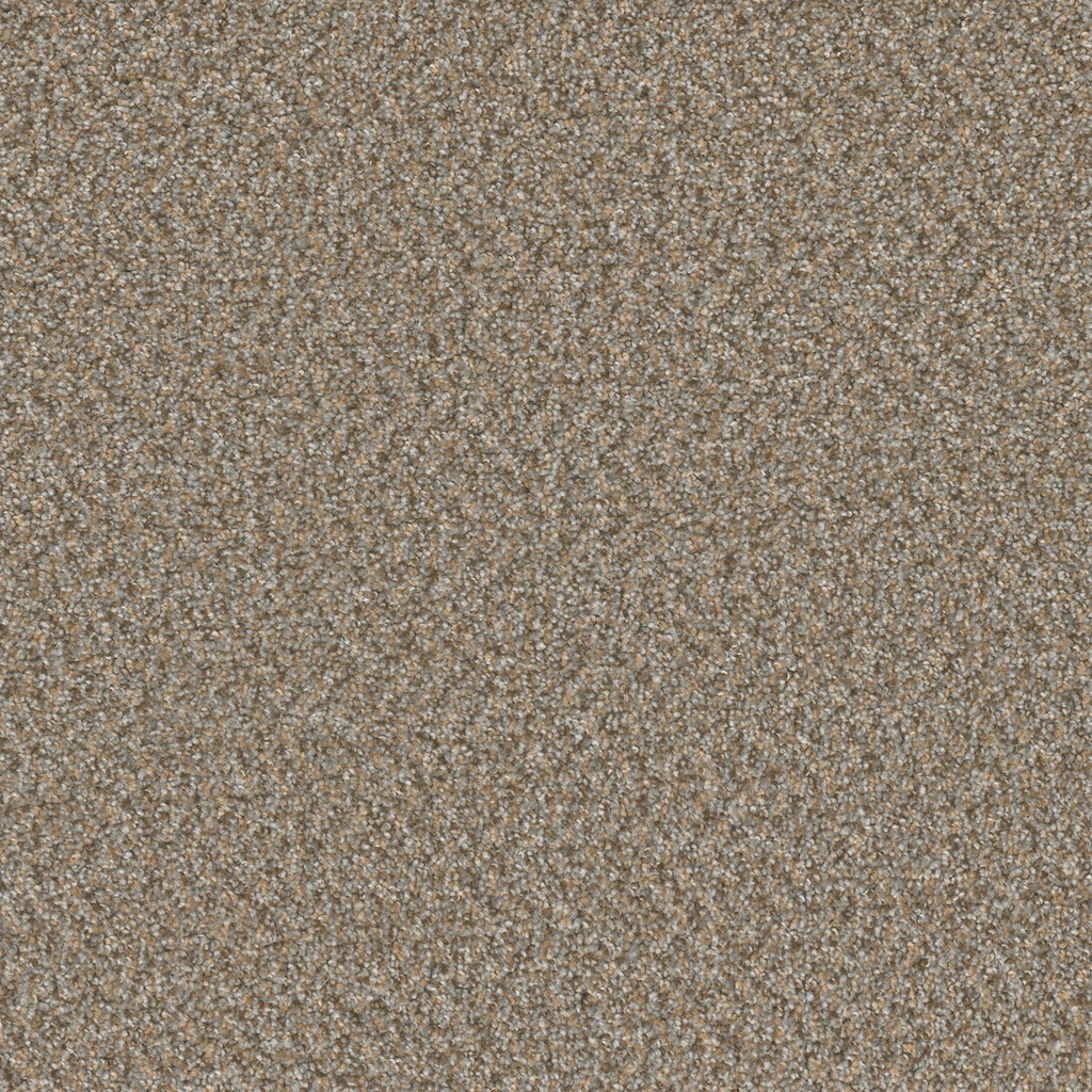 SP251 - Siesta