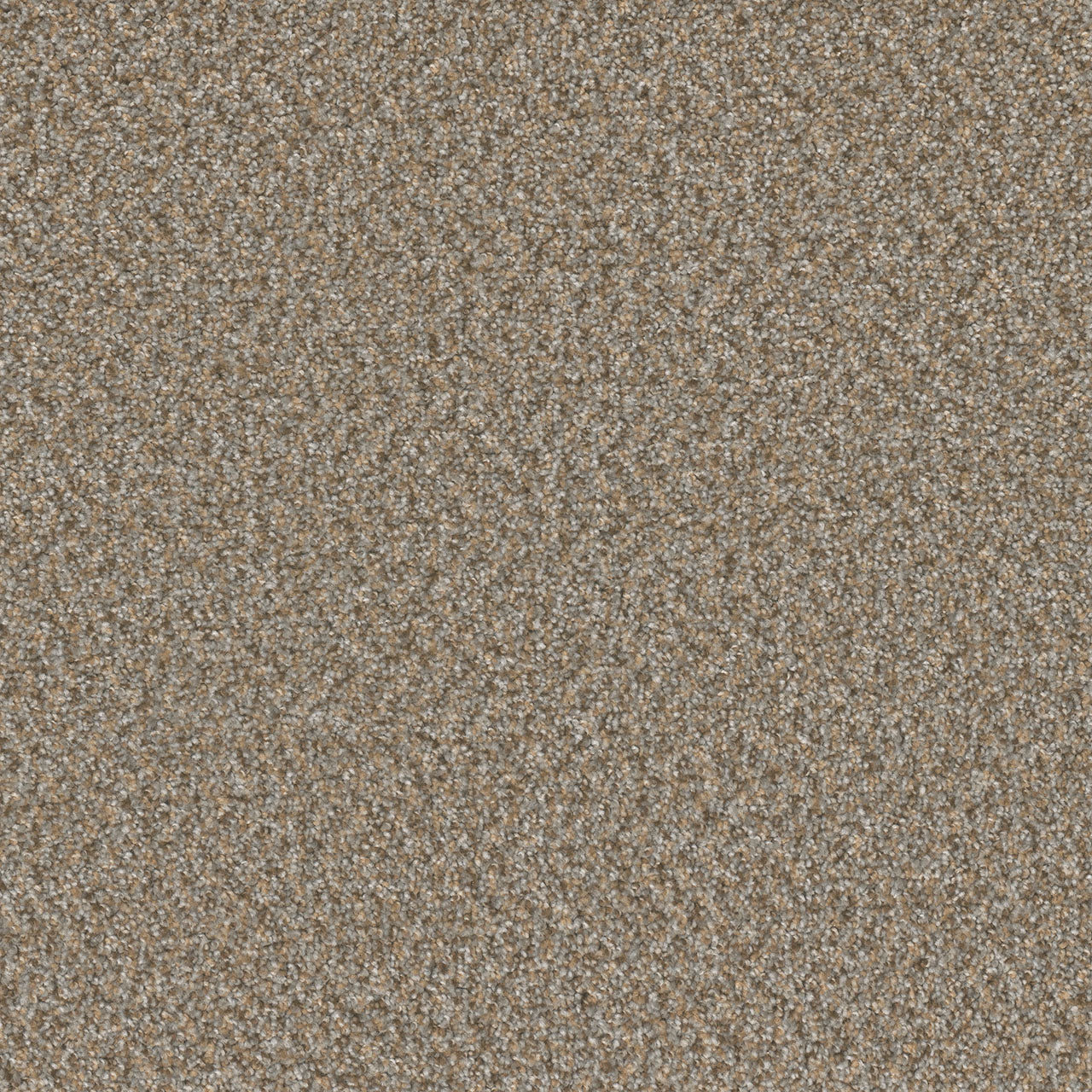 SP251 - Siesta