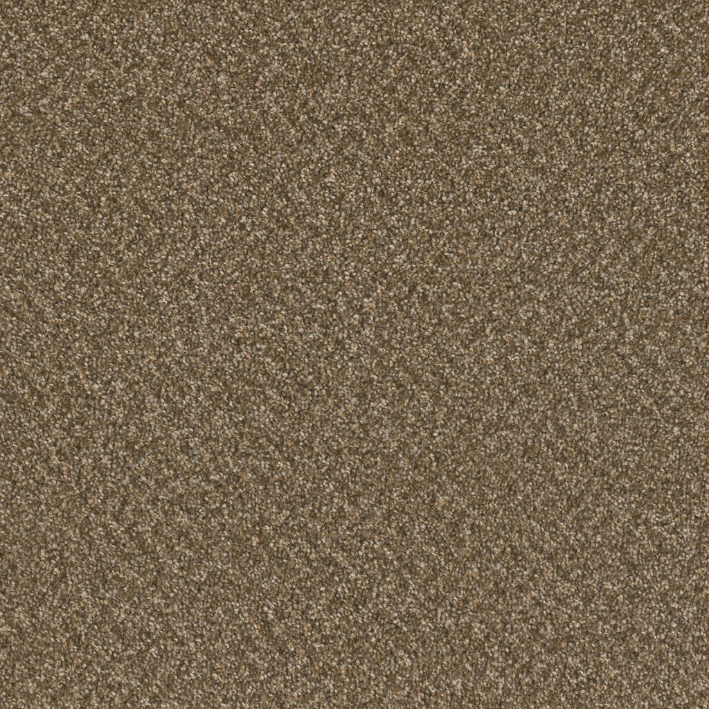SP251 - Mocha Beige