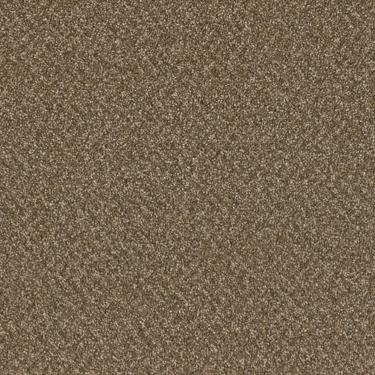 SP251 - Mocha Beige