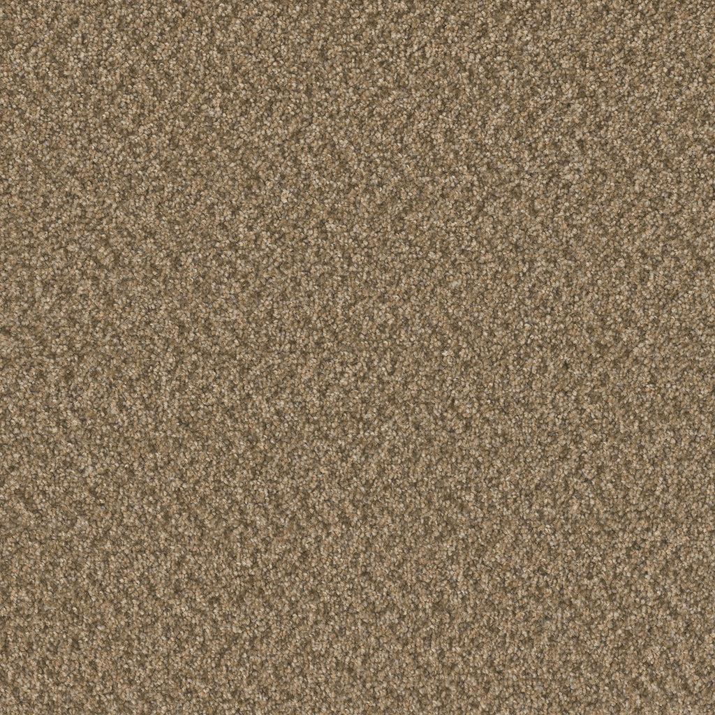 SP251 - Aged Leather