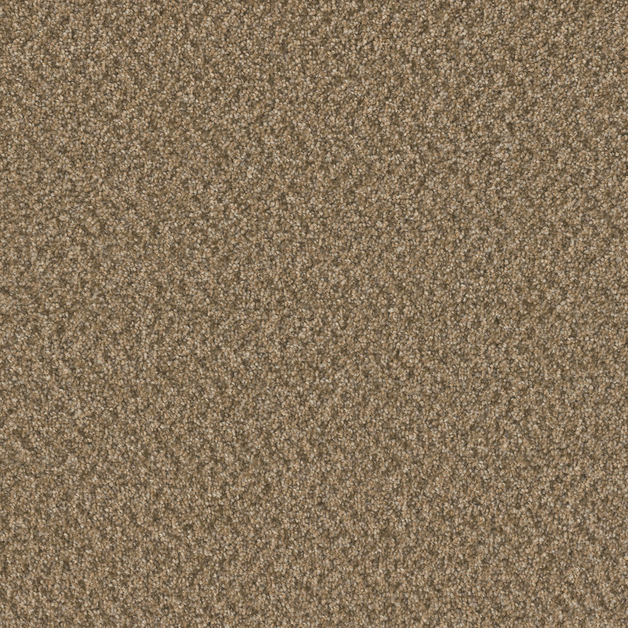 SP251 - Aged Leather