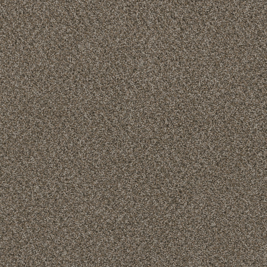 SP251 - Desert Jasper