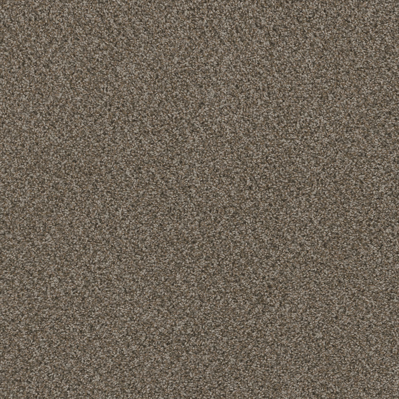 SP251 - Desert Jasper