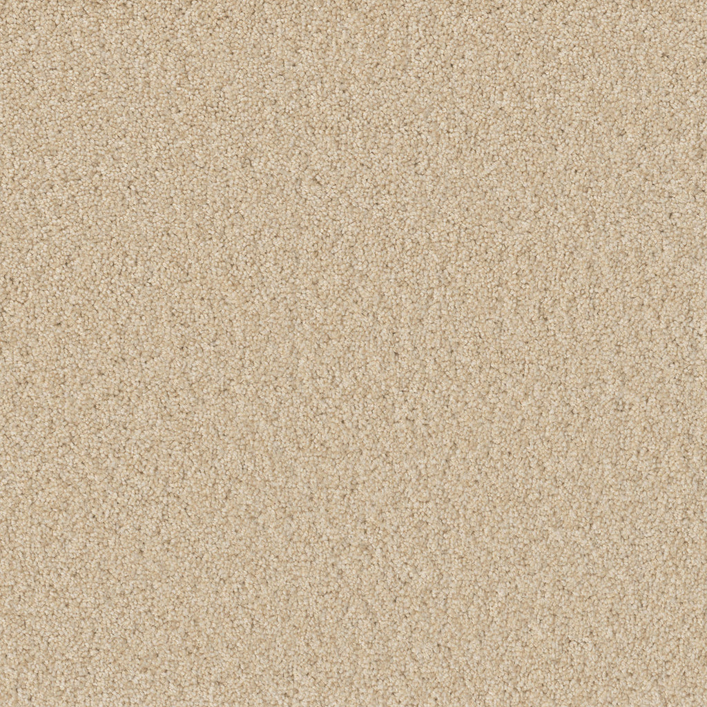SP251 - Classic Ivory