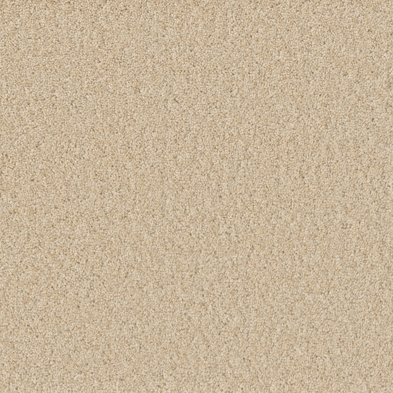 SP251 - Classic Ivory