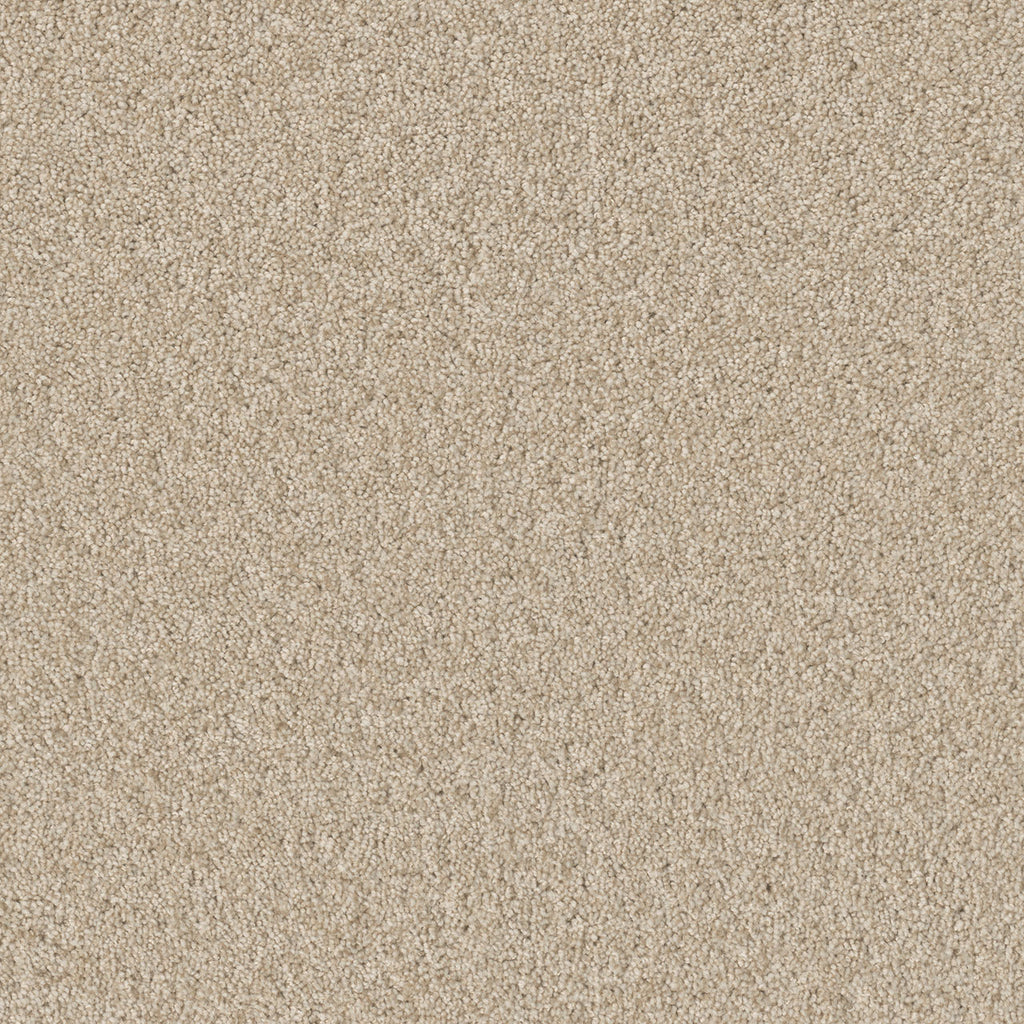 SP251 - Light Bisque