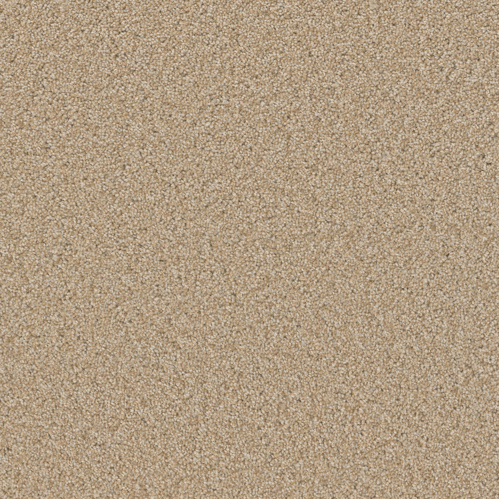 SP251 - Frosted Clay
