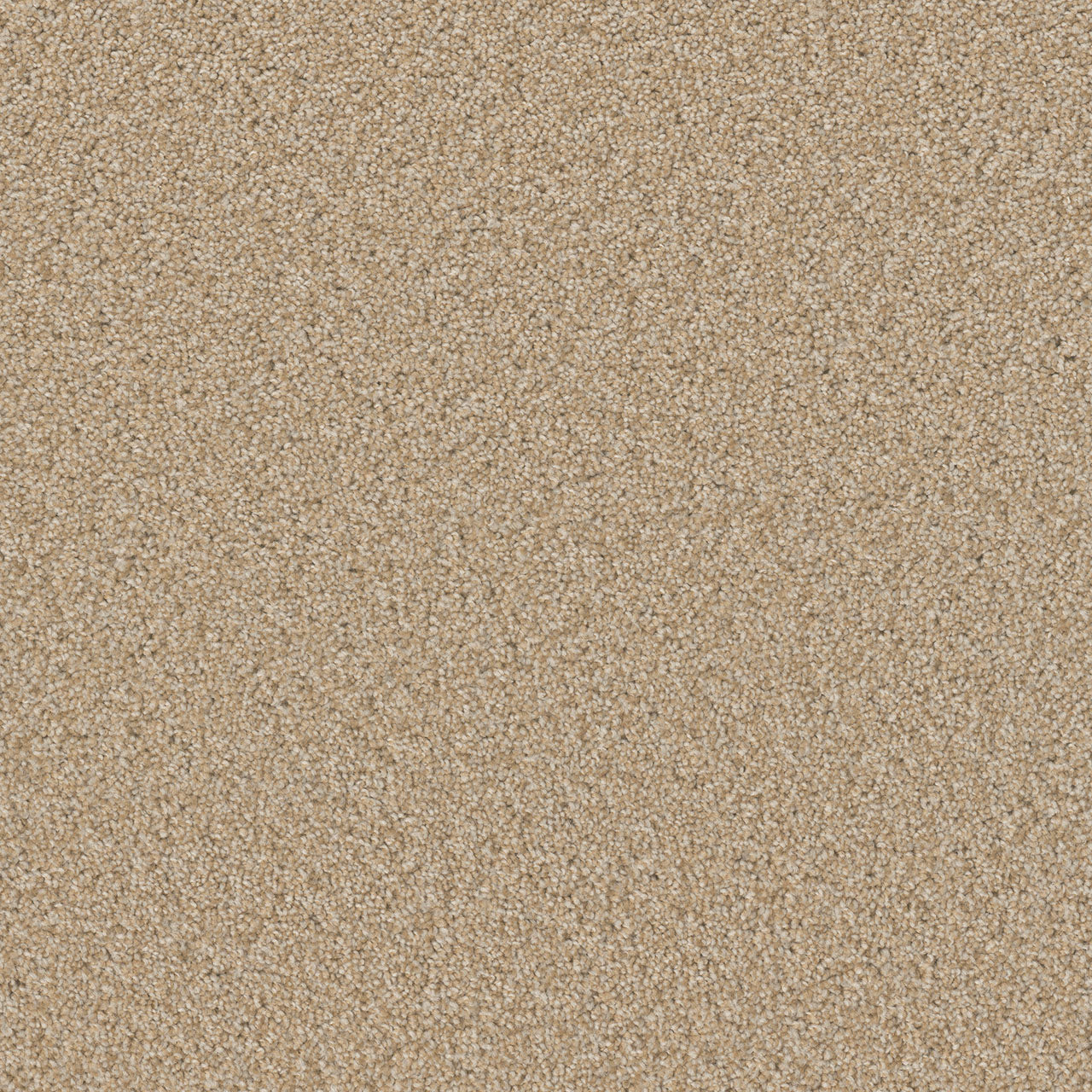 SP251 - Frosted Clay