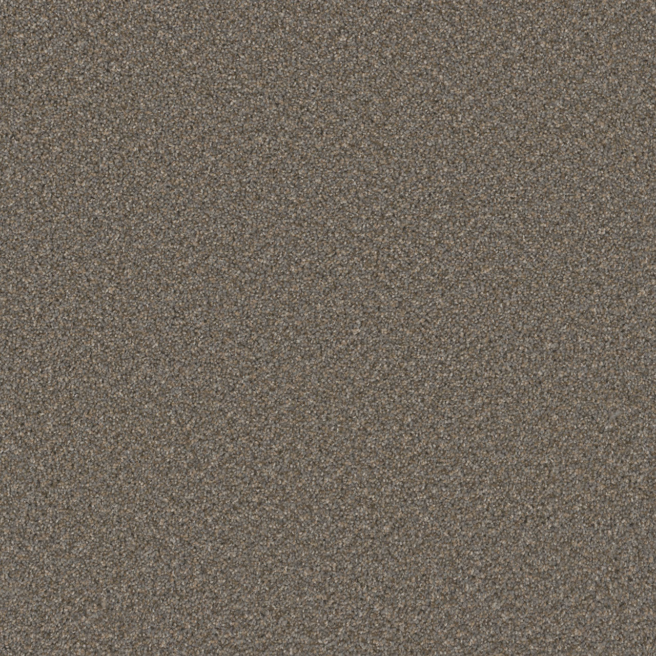 SP251 - Field Slate