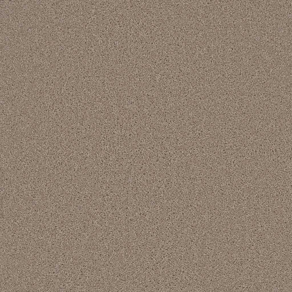 SP251 - Flax Beige