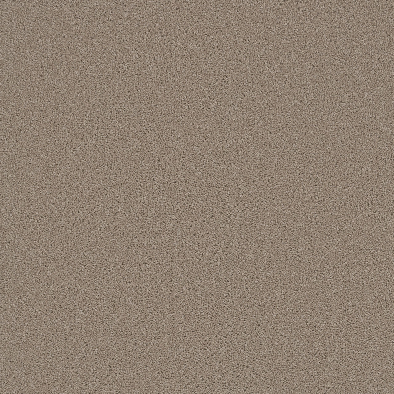 SP251 - Flax Beige