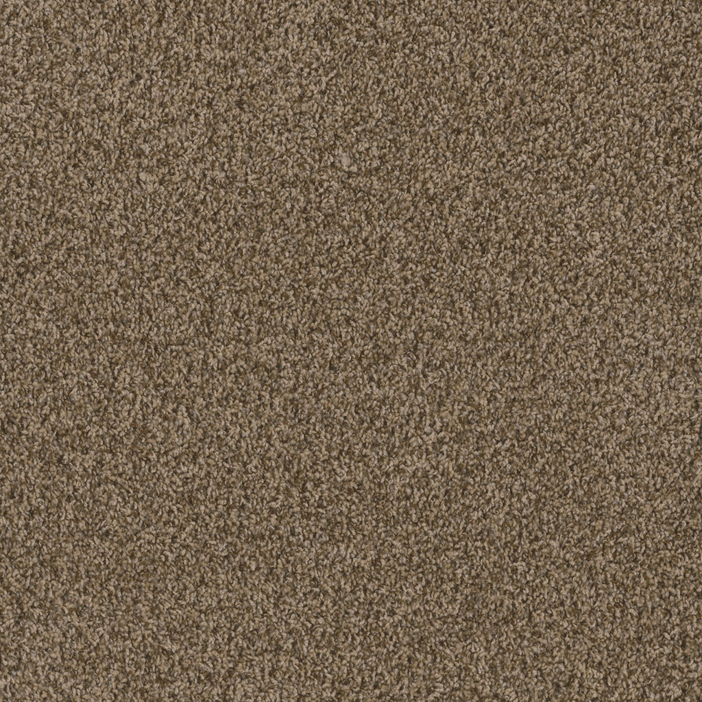 SP251 - Shimmer