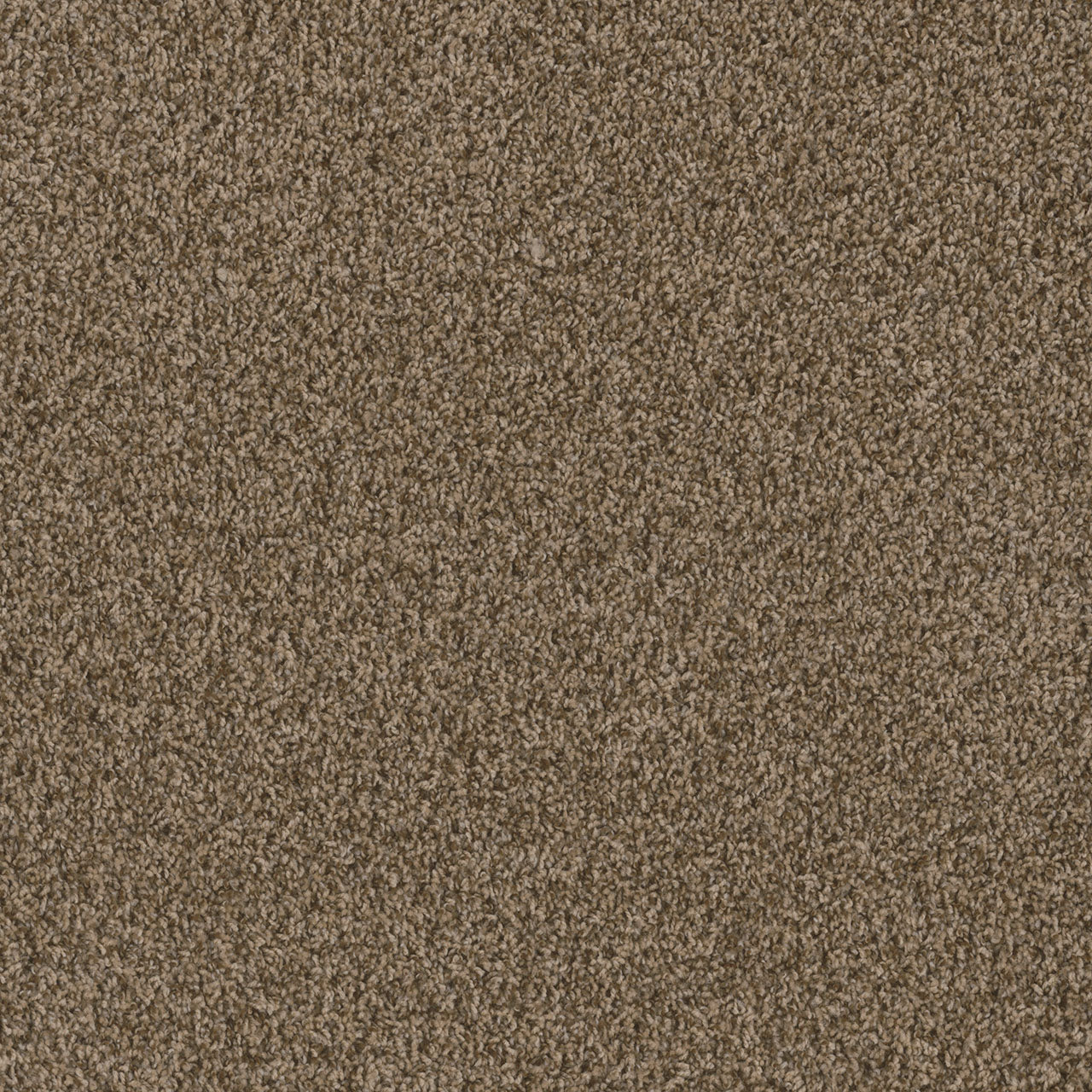 SP251 - Shimmer