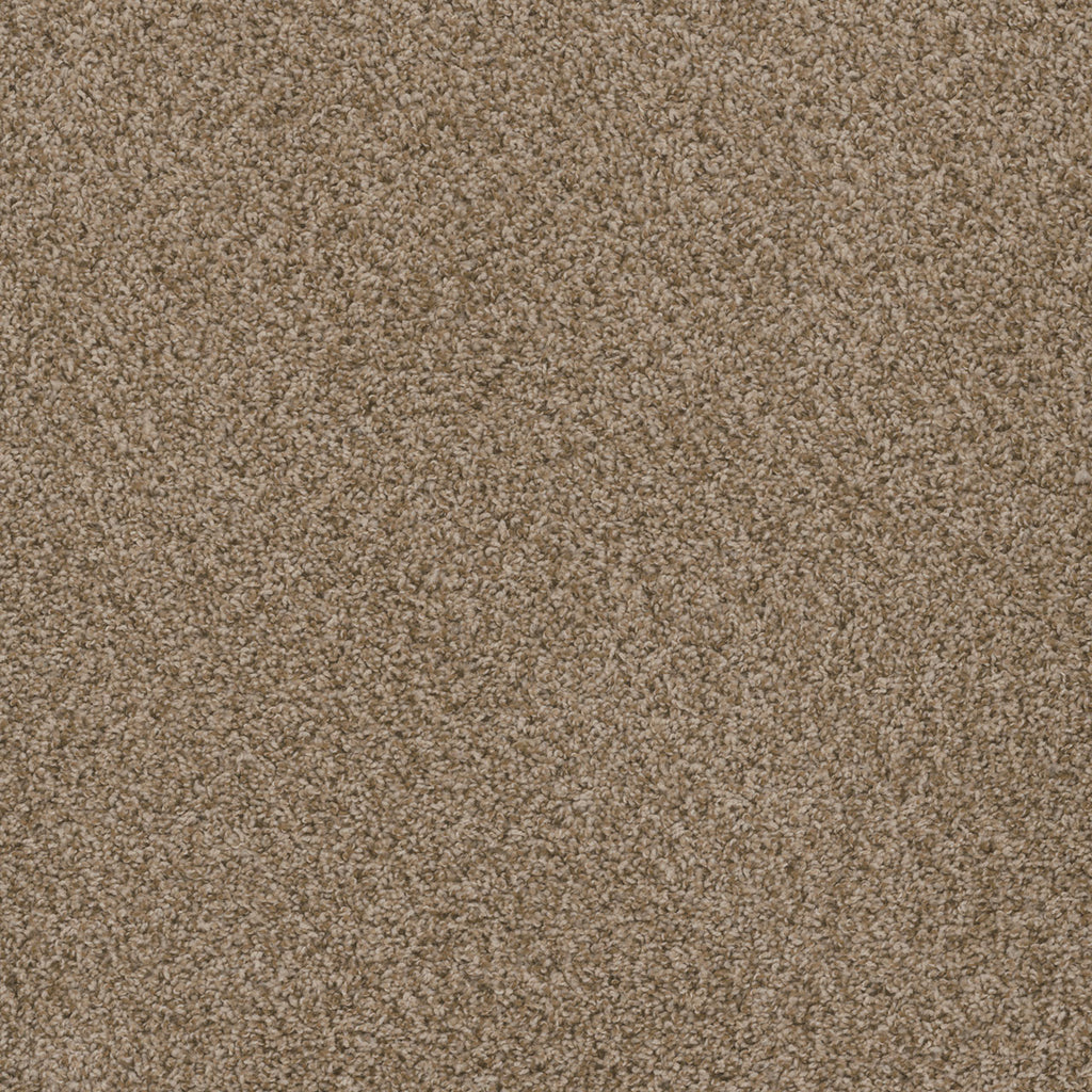 SP251 - Sandlot
