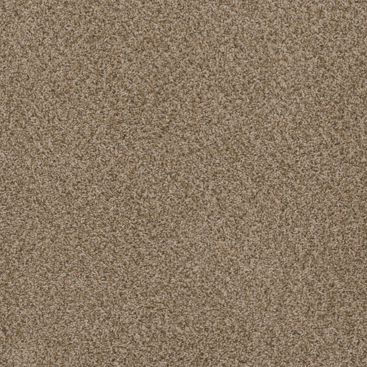 SP251 - Sandlot