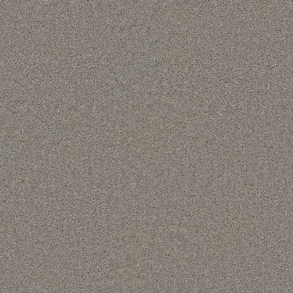 SP251 - Silver Birch