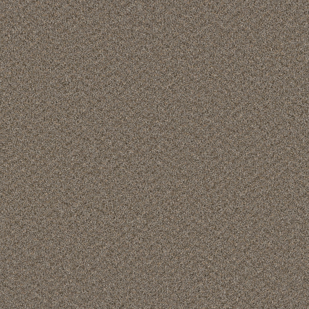 SP251 - Cinder