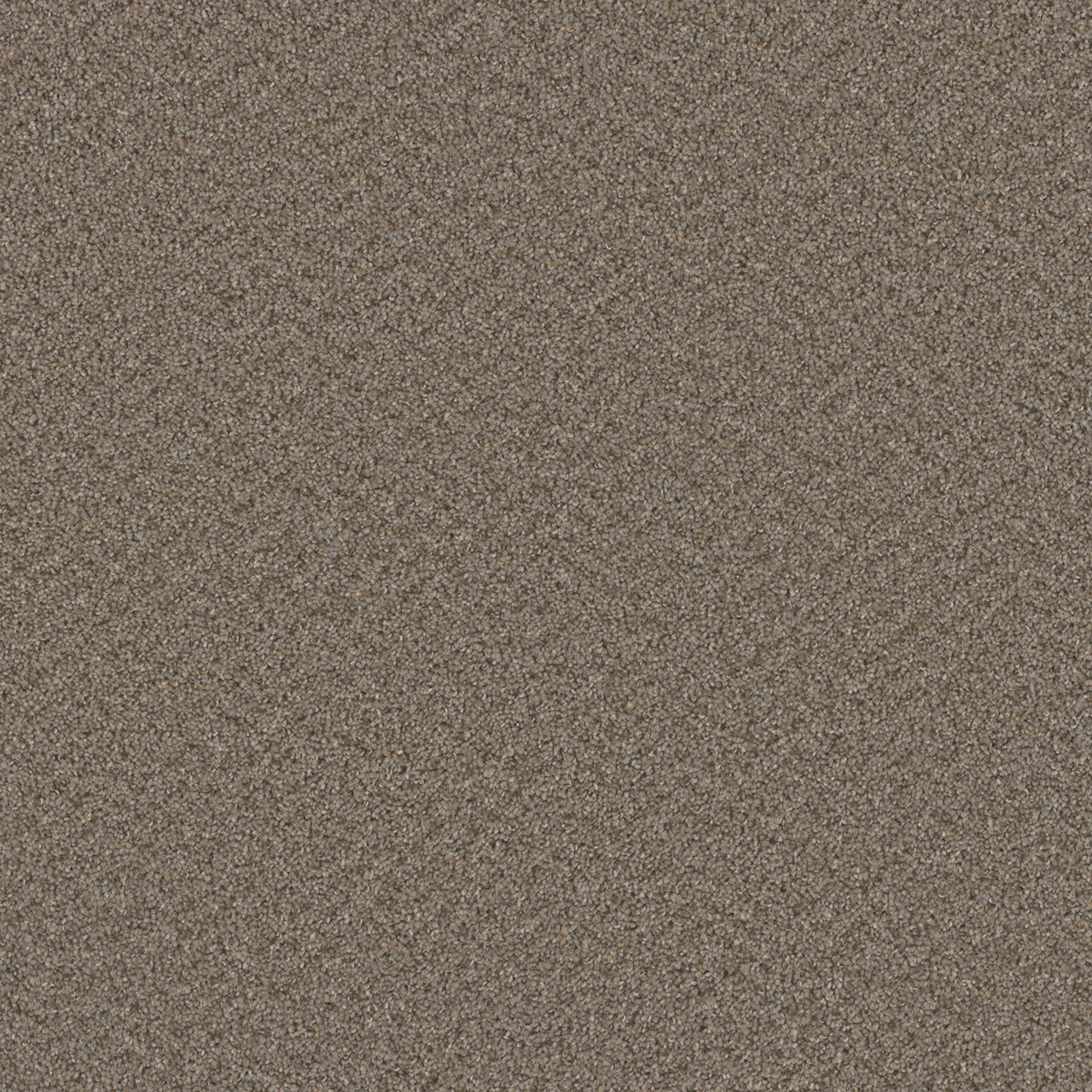 SP251 - Cinder
