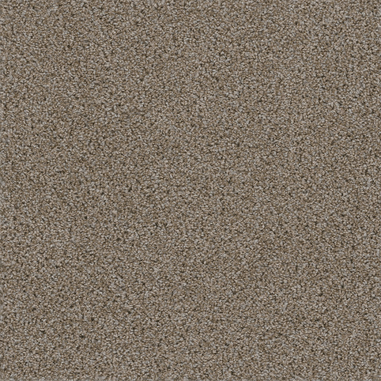 Walk In The Park - Granite