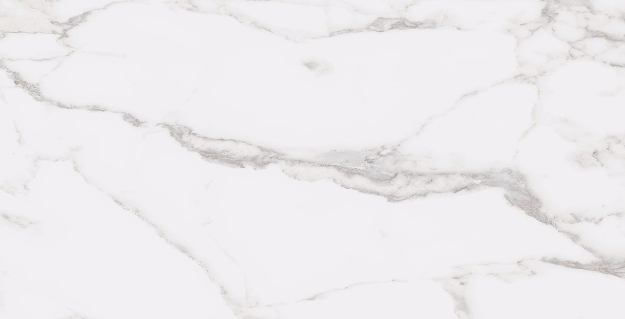 Roca Tile - Statuary White 12 x 24 R Up