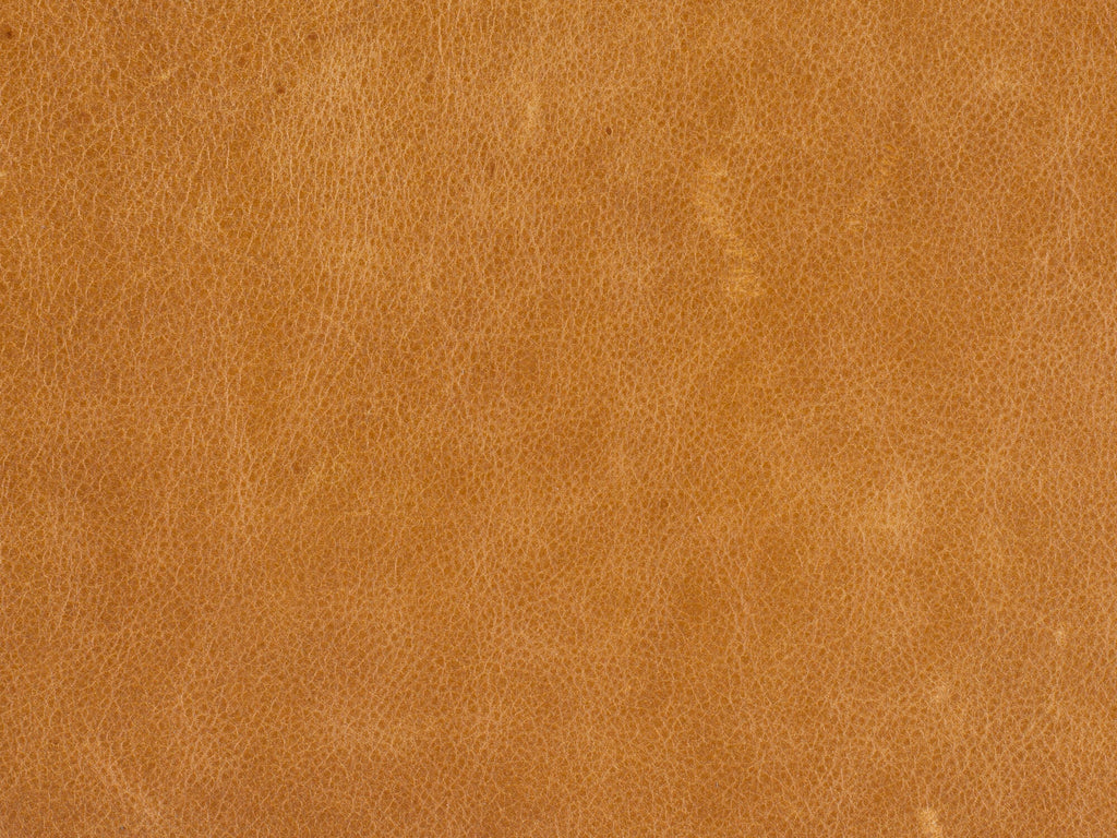 Saddlebag Coin Leather Image