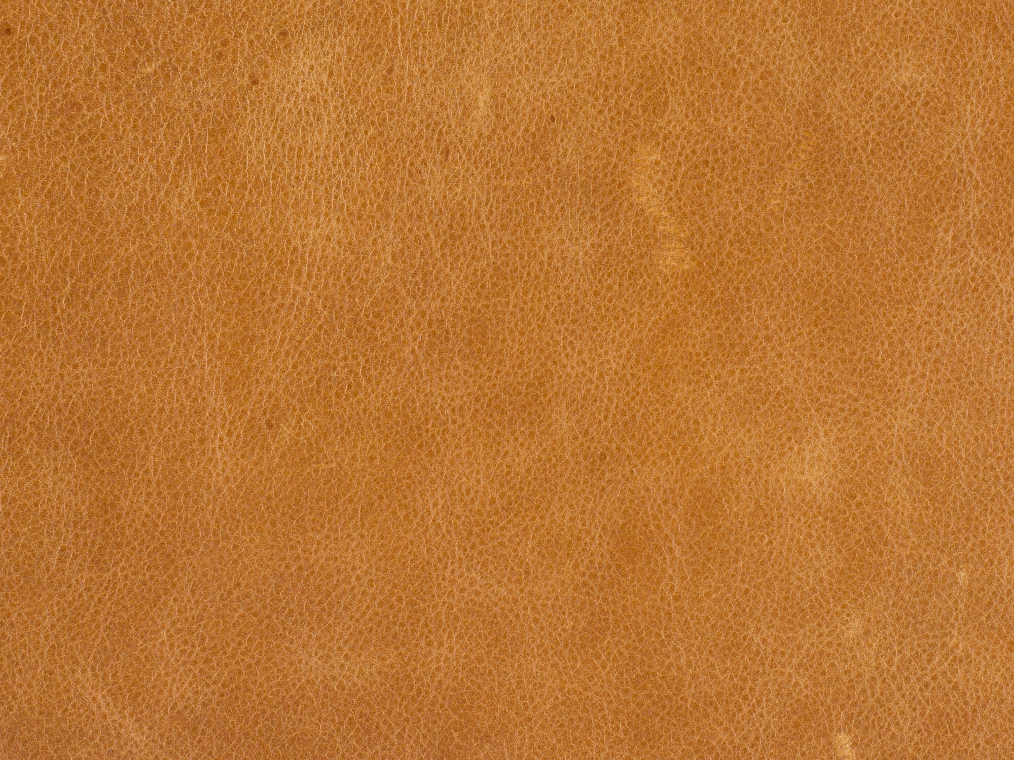 Saddlebag Coin Leather Image