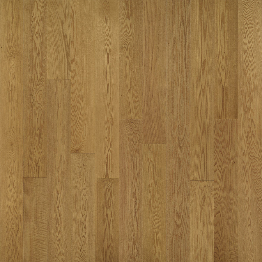 Serenity Dream Oak Swatch