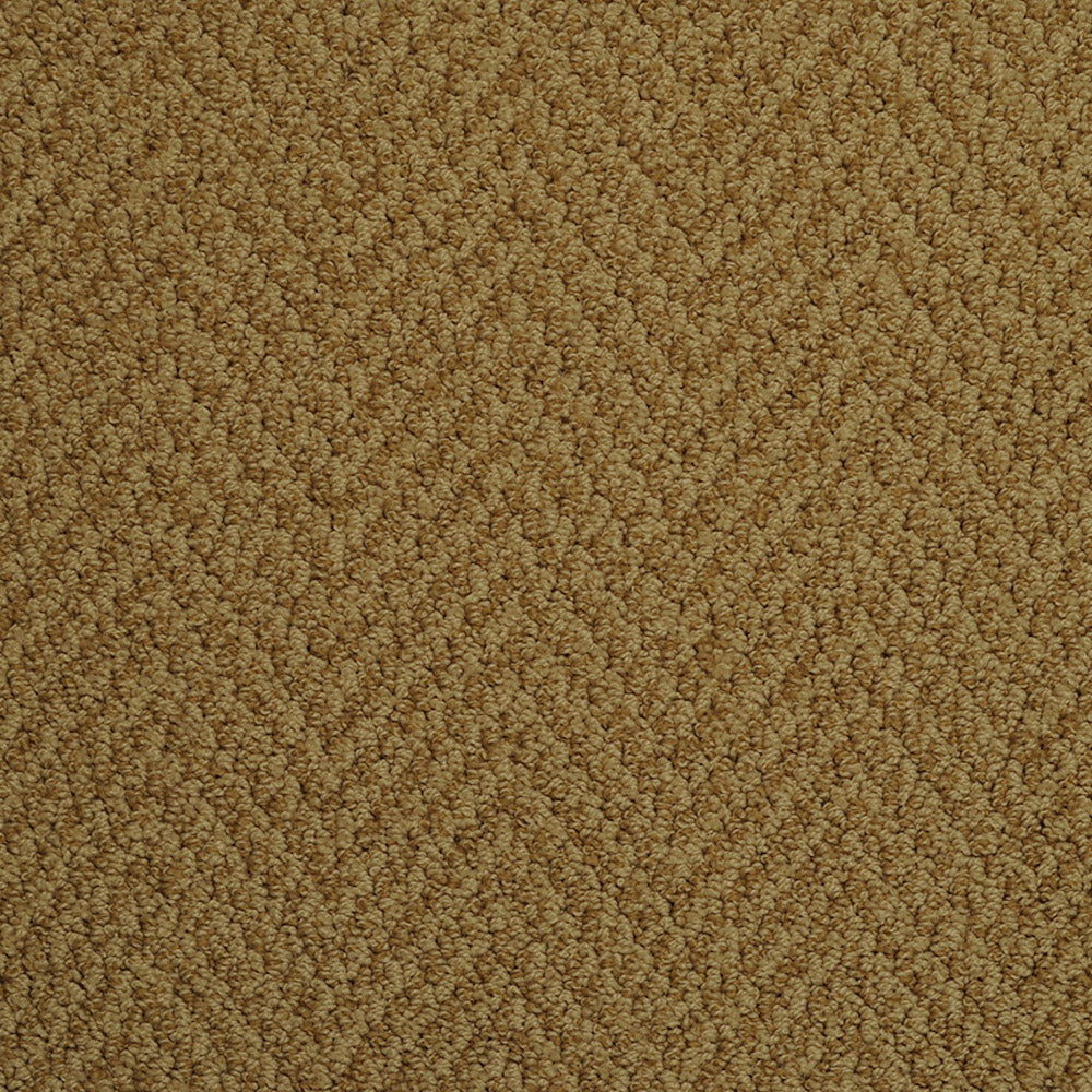 Agave - Signature