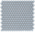 Roca Tile - 12 x 12 Inch Penny Round Mosaic