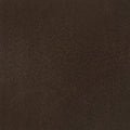 Walnut 6x6.jpg