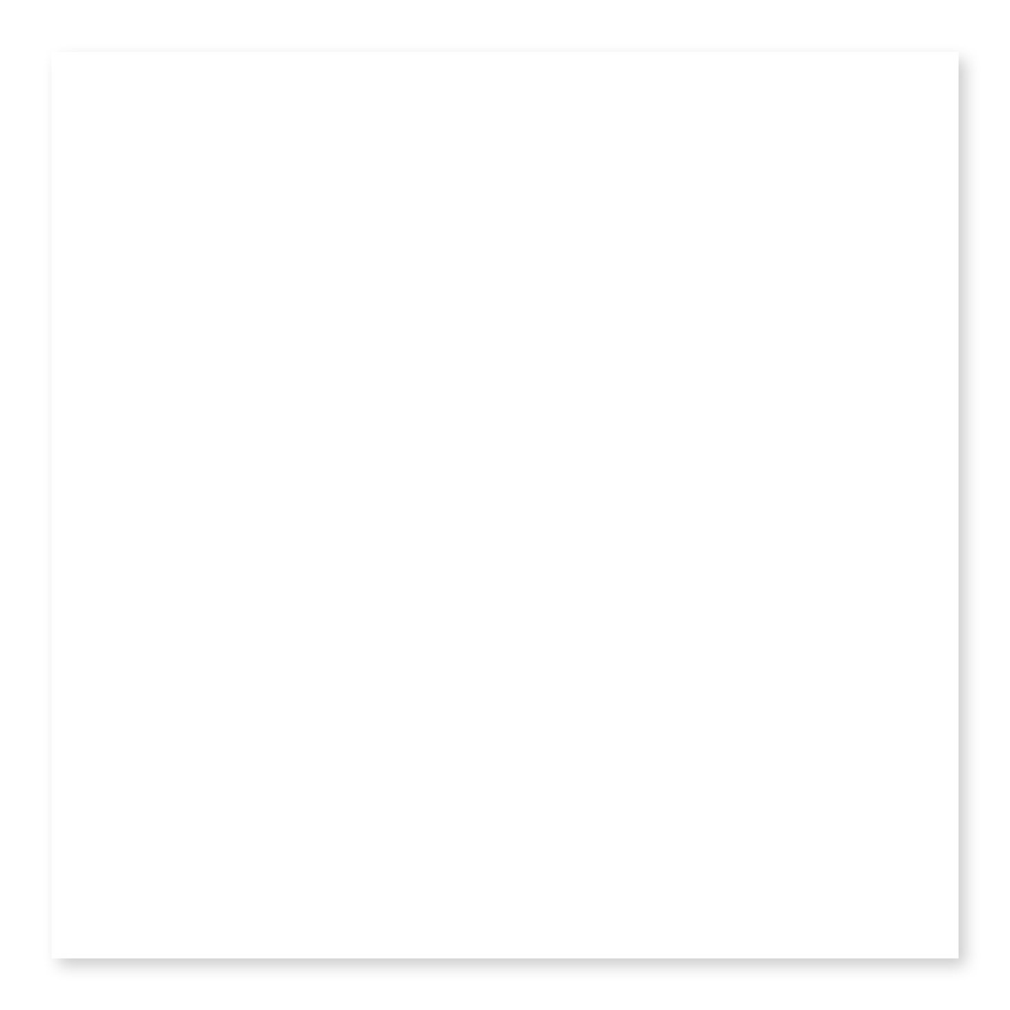 Roca Tile - Matte White Ice 3 x 6 - 7.0mm Thickness