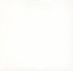 White2.jpg