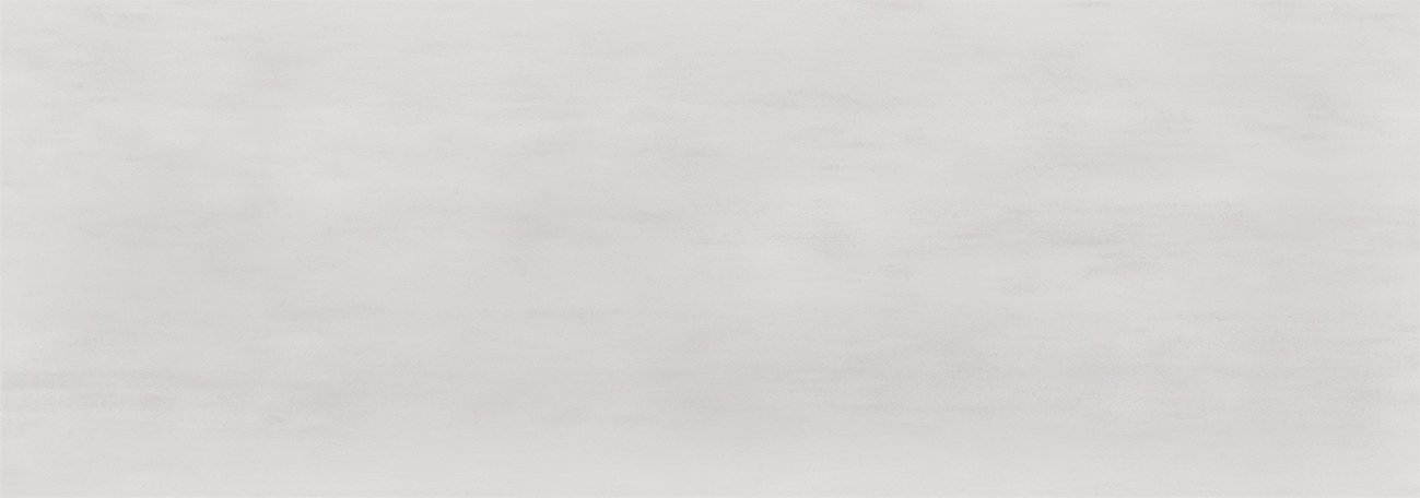 Roca Tile - Winter 8 x 24 Inch Tile