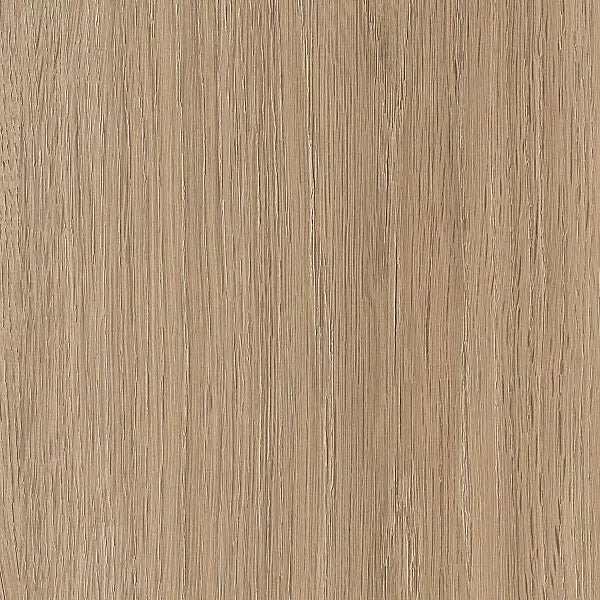 Elise Swatch