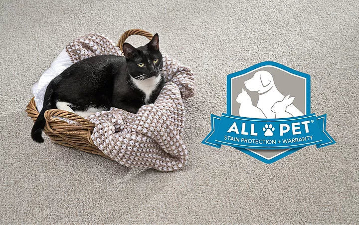 All Pets. All Accidents. All the Time.