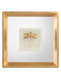 Dragonfly On Stone, Alabaster | John-Richard - JRA-11366