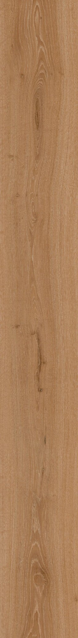 AUTUMN OAK 1TO1