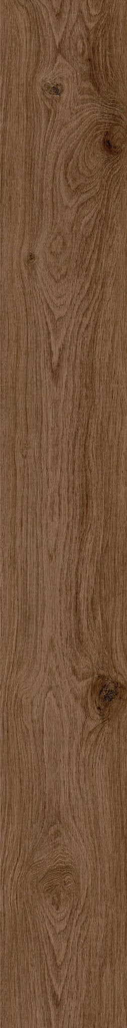 CINNAMON BARK OAK 1TO1