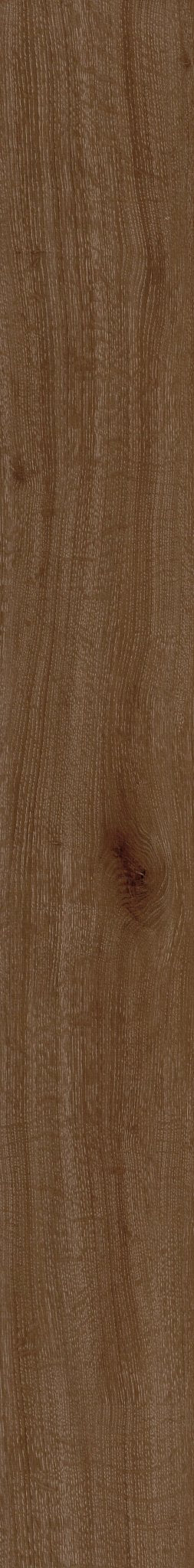 CRIMSON FLAME OAK 1TO1