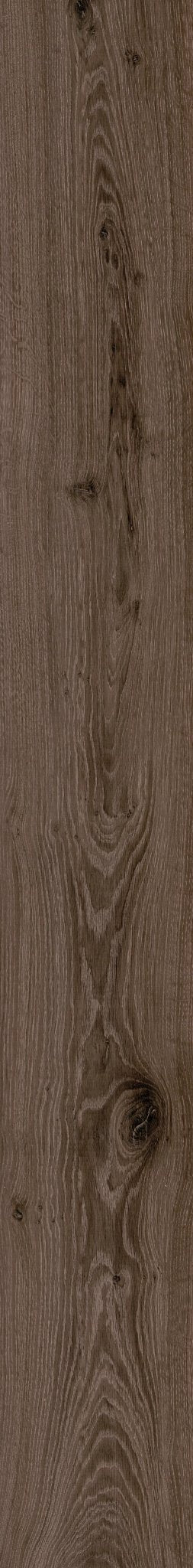 OBSIDIAN OAK 1TO1