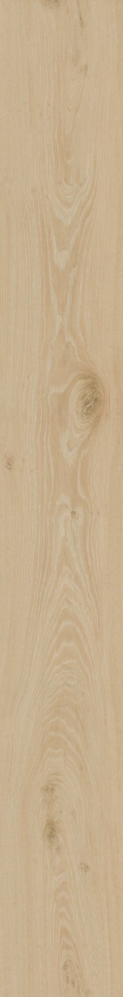 BUTTERSCOTCH OAK 1TO1