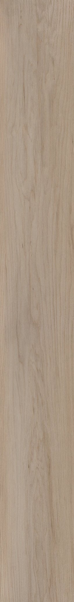 COASTAL DUNE MAPLE 1TO1