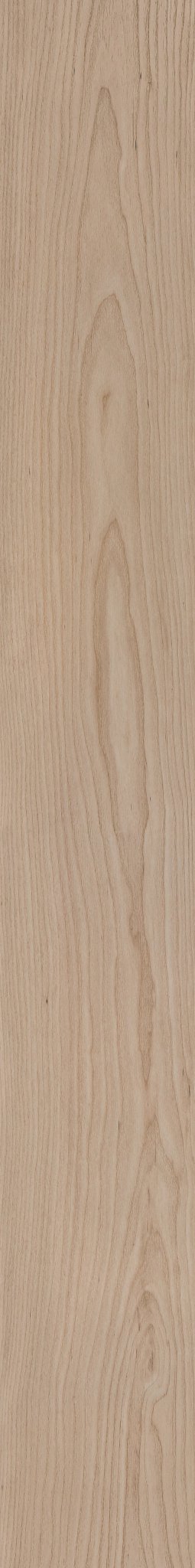 VANILLA GROVE MAPLE 1TO1