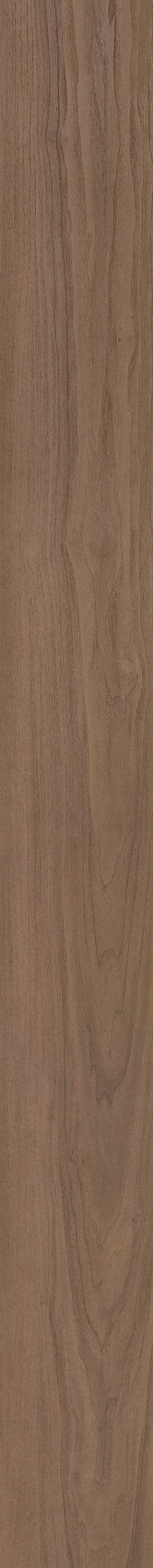 WHISKEY OAK 1TO1
