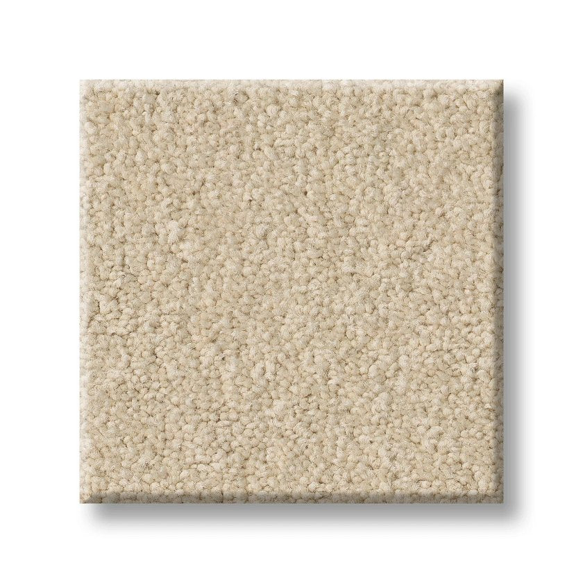 MAGIC AT LAST I 12' PARMESAN SWATCH