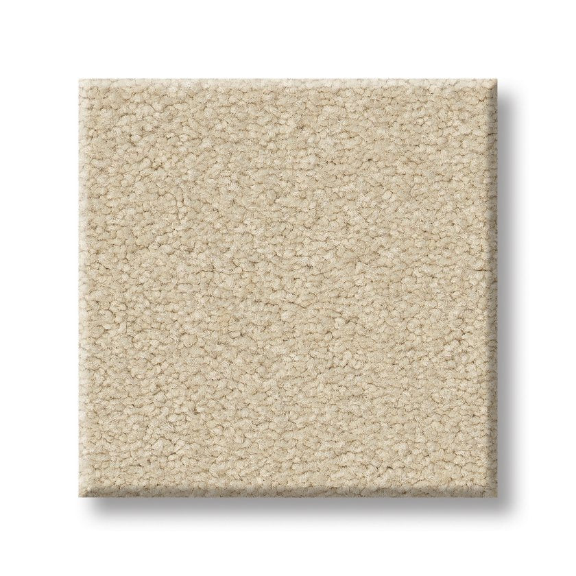 SANDY HOLLOW CLASSIC III 12' MUSHROOM SWATCH