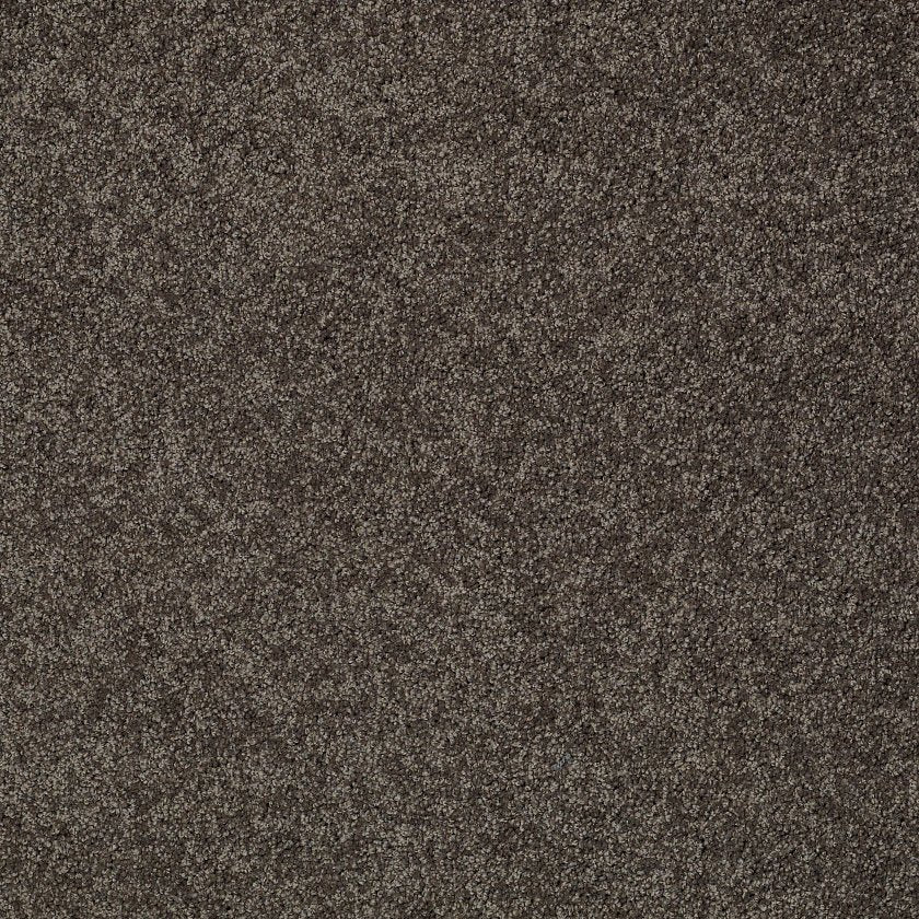MY CHOICE II CHOCOLATE - Carpet